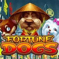 Fortune Dogs