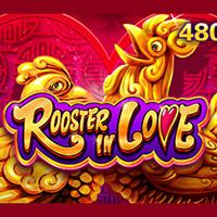 Rooster In Love